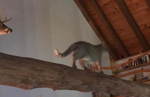 Roscoe Retreat - Foto 23