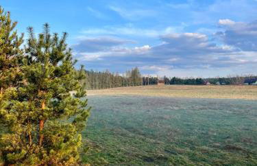 Leśne Siedlisko Wygonin - Foto 53