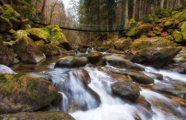 Familienurlaub im Bayerischen Wald - Foto 27