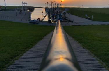 Wattwürmchen - Foto 21