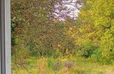 Maison 100m2 Au Cœur de Dosches - Foto 23