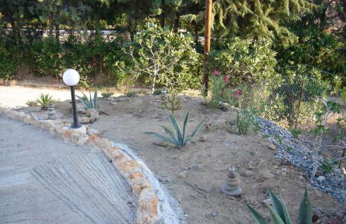 Bouganville Studios Stegna - Foto 26