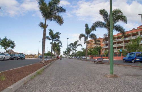 Retama del Teide, Puerto de la Cruz - Foto 45