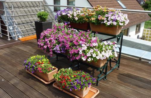 Ferienwohnung GOMO - Foto 16