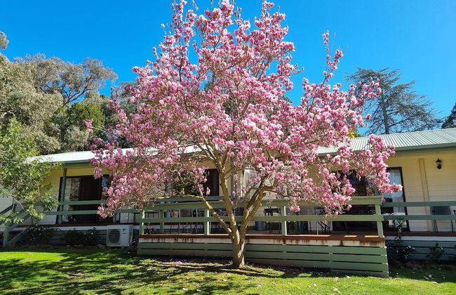Golden Heritage Apartments Beechworth - Foto 24