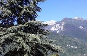 Appartamento Tenaglia - Foto 14