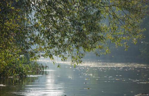 Spreewaldferienhaus - Urlaub - Foto 28