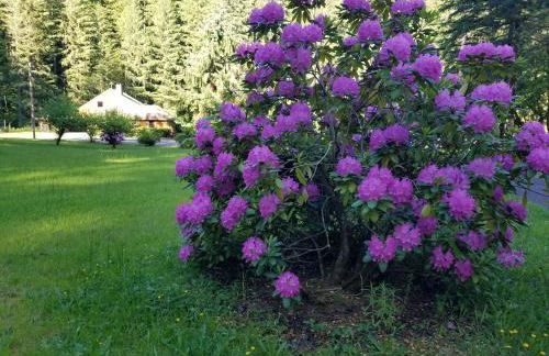 Kanati Falls Ranch - Foto 34