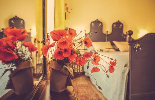 Agriturismo I Surì Asti - Foto 50