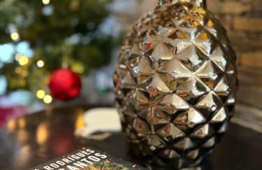 Longra Family Villa & SPA - Foto 11