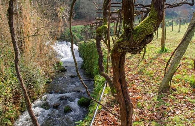 Casa da Cevidade - Foto 54