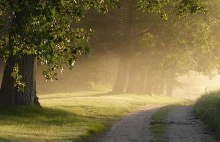 Gut-Rattelvitz-Parterre-A-hochwertig-Sauna-Kamin-eTankstelle-Spielscheune-15-000qm-Parkland - Foto 62