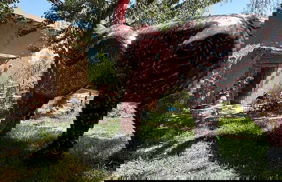 Quelque part au barrage - Foto 20