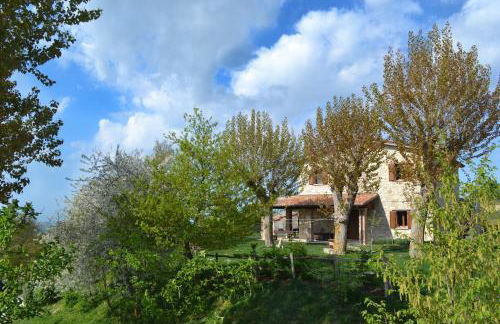 Fattoria Bio L'A Ceccoli - Foto 6