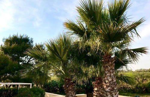 Case Graffeo - Foto 17