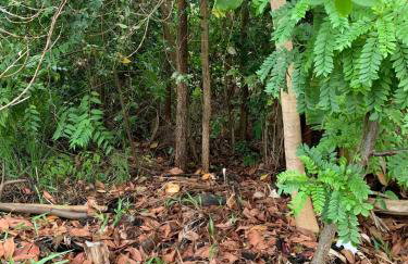 Large house with pool, barbecue and garden - Foto 25