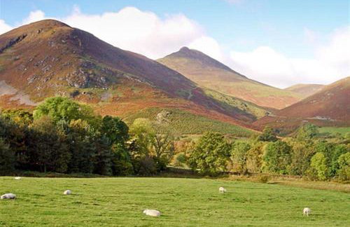 Grisedale Cottage - Foto 23