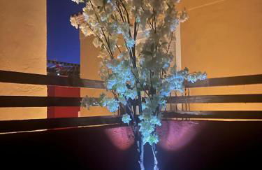 Apartamento Mendez Nunez Villajoyosa - close to the beach - Photo 28