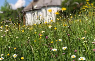 MOUNTAIN LODGE OBERJOCH - Allgäu - Foto 37
