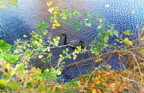 Le Logis de Maisonneuve - Foto 51