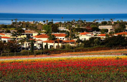 329 Oak Ave - Foto 31