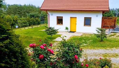 Yellow House - Foto 2