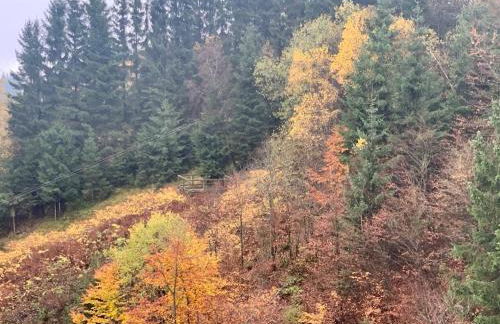 UplandParcs Haus Bergsicht - Photo 44