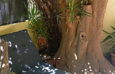 Ηome & Garden with parking close to Olympic Stadium - Foto 58