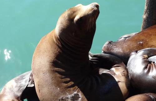 Avila Beach Retreat - Foto 24