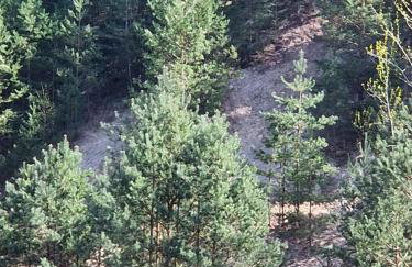 Sonnenhaus - Foto 23