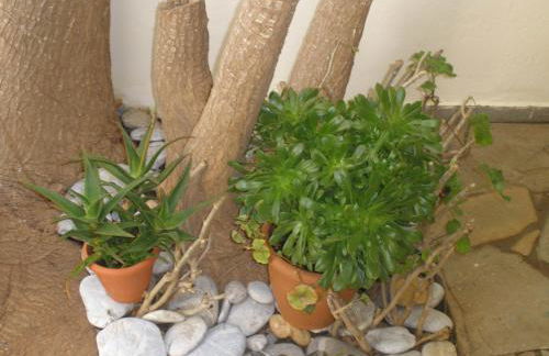 Aigialis Apartments & Studios - Foto 63