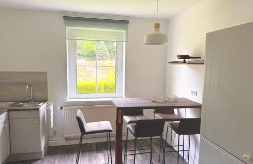 Ellis-Ferienwohnung-Erzgebirge - Foto 18