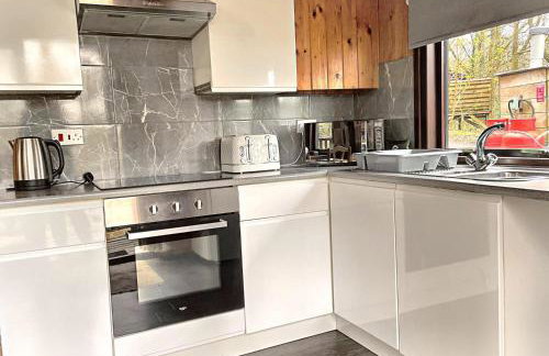 Snowdrop 10-Hot Tub-Woodlandlodges-St Clears-Pembrokeshire - Foto 5