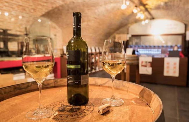 Bratislava Wine Tour - Foto 1