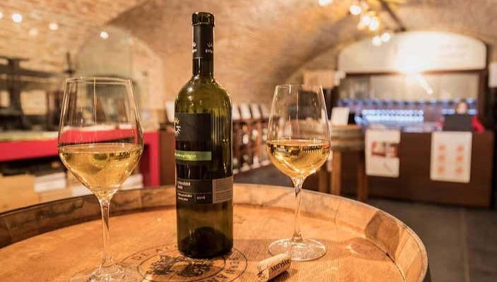 Bratislava Wine Tour - Foto 1