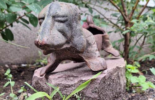 Gästewohnung Kleinstadtperle in Pritzwalk - Foto 8