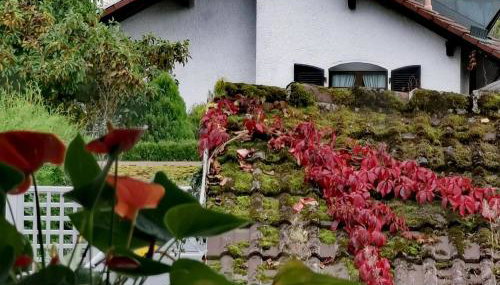 Moderne Ferienwohnung im Herzen von Bad Waldsee - Foto 3