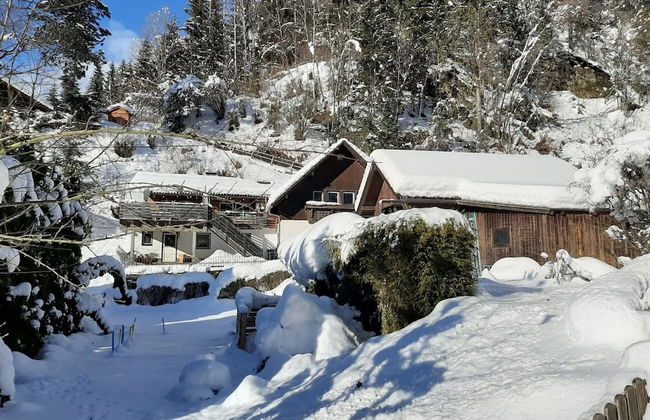 Apartment Feld am See Near Ski Slopes - Foto 1