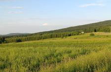 Domki Pod Łysicą- basen jacuzzi sauna - Foto 40