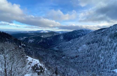 Le Nichoir - Foto 15