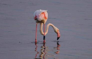 Sunny Apartman Italy - Photo 10