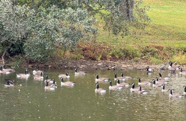 Bucks County Home Farm Philadelphia Dog Friendly - Foto 34