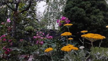 Chez MariLou - Foto 3, Garden