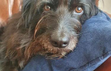 Sandstone Cottage - Foto 30