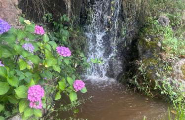 Molino de las Pontezuelas - Photo 29