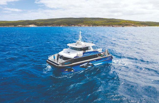 Whale Watching in Geographe Bay - Photo 2