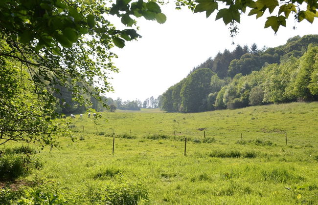 Family Retreat, Forested Anhee - Foto 37