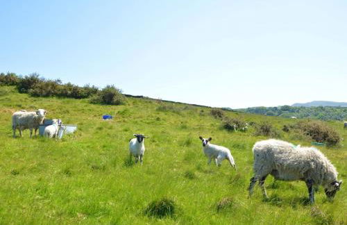 2 Bed in High Peak oc-57871 - Photo 20