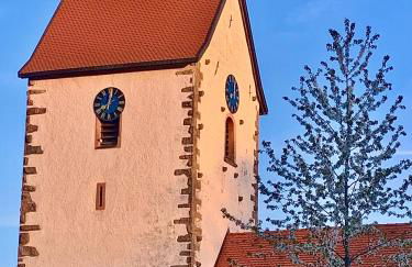 FeWo Fuchs Saig - Photo 66