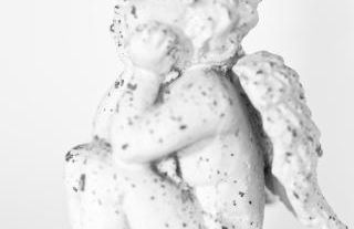 La Venise Normande - Foto 10